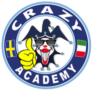 Crazy Academy
